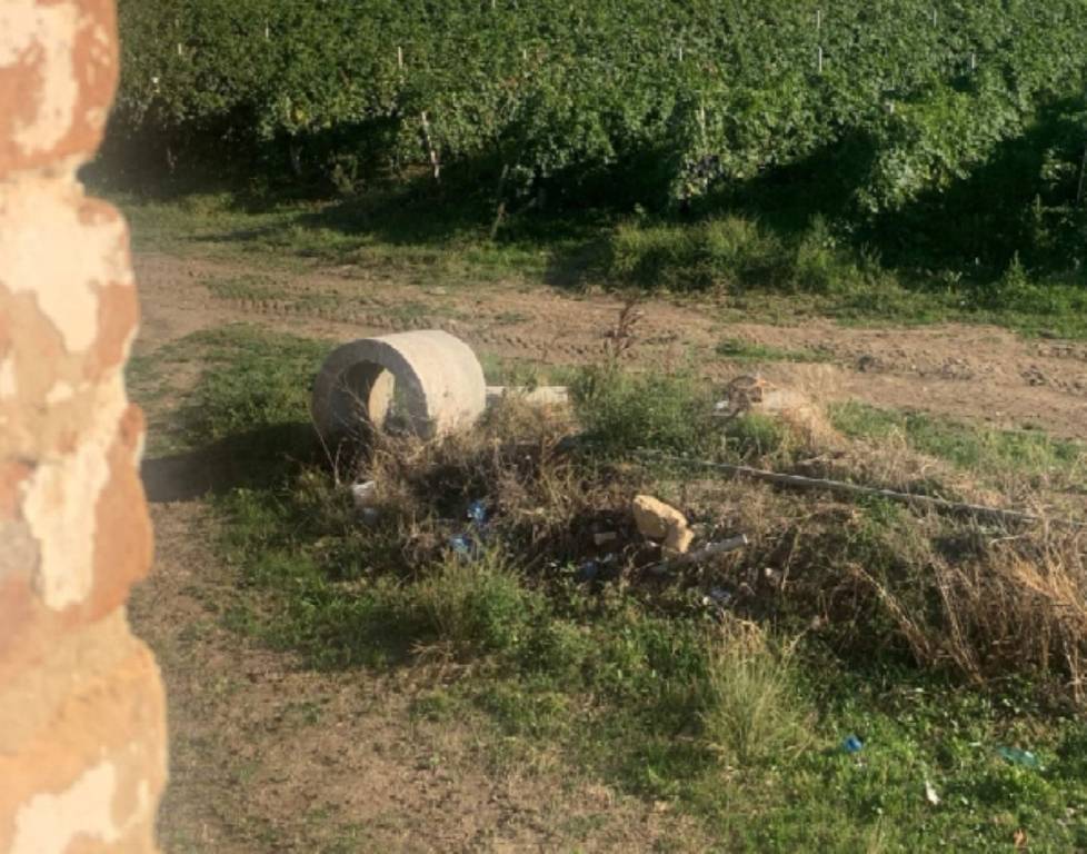 immagine annuncio 13 di 15