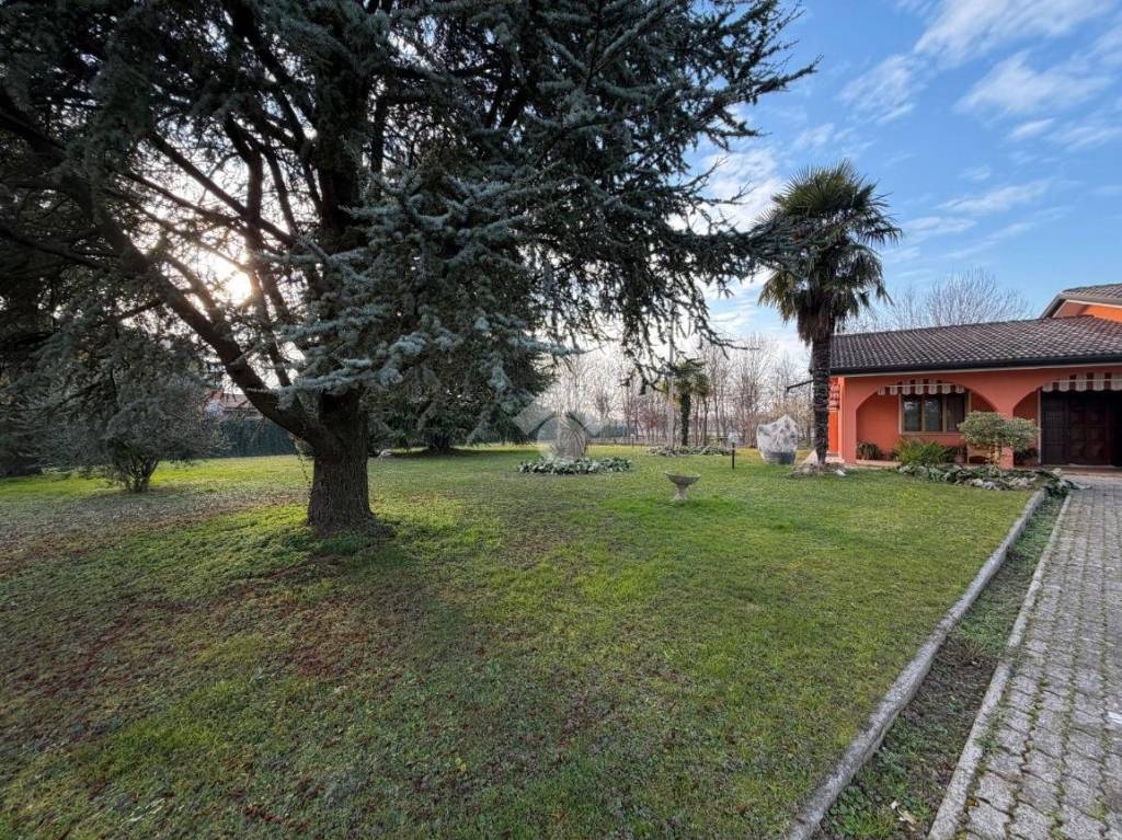 immagine annuncio 11 di 15