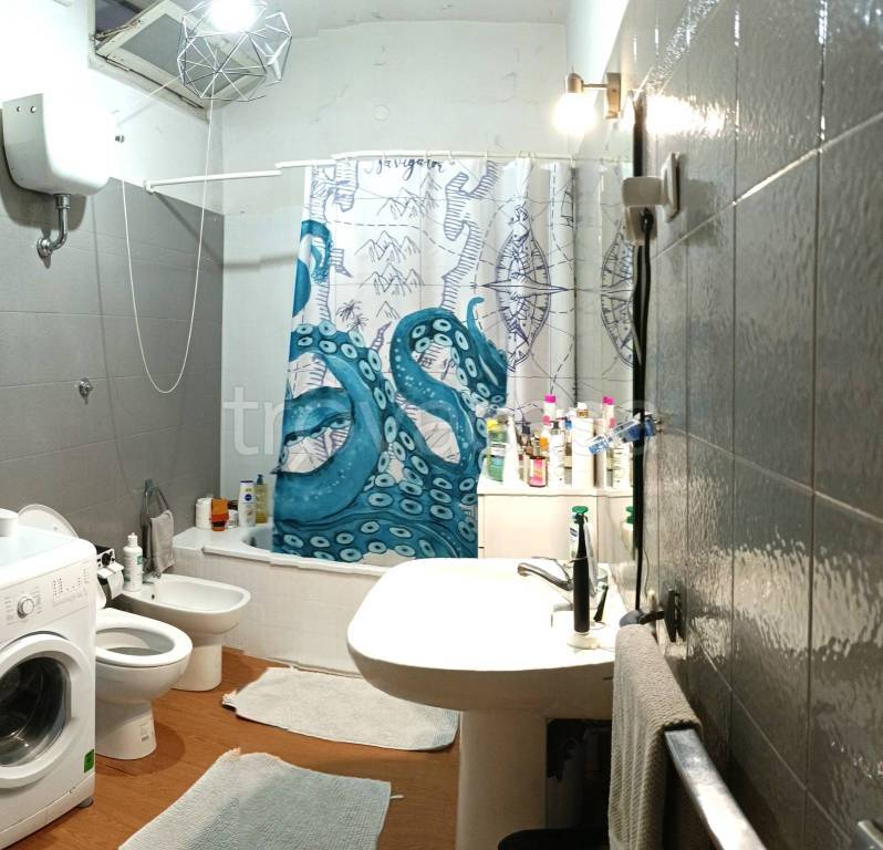 immagine annuncio 9 di 14