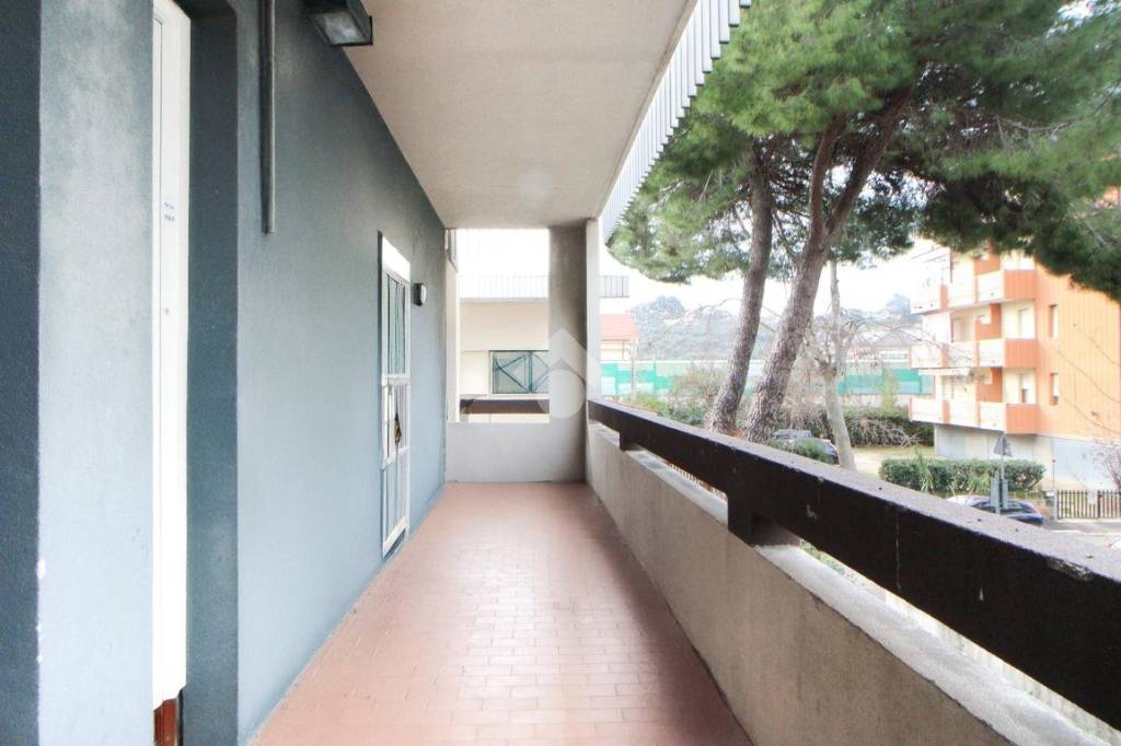 immagine annuncio 2 di 12