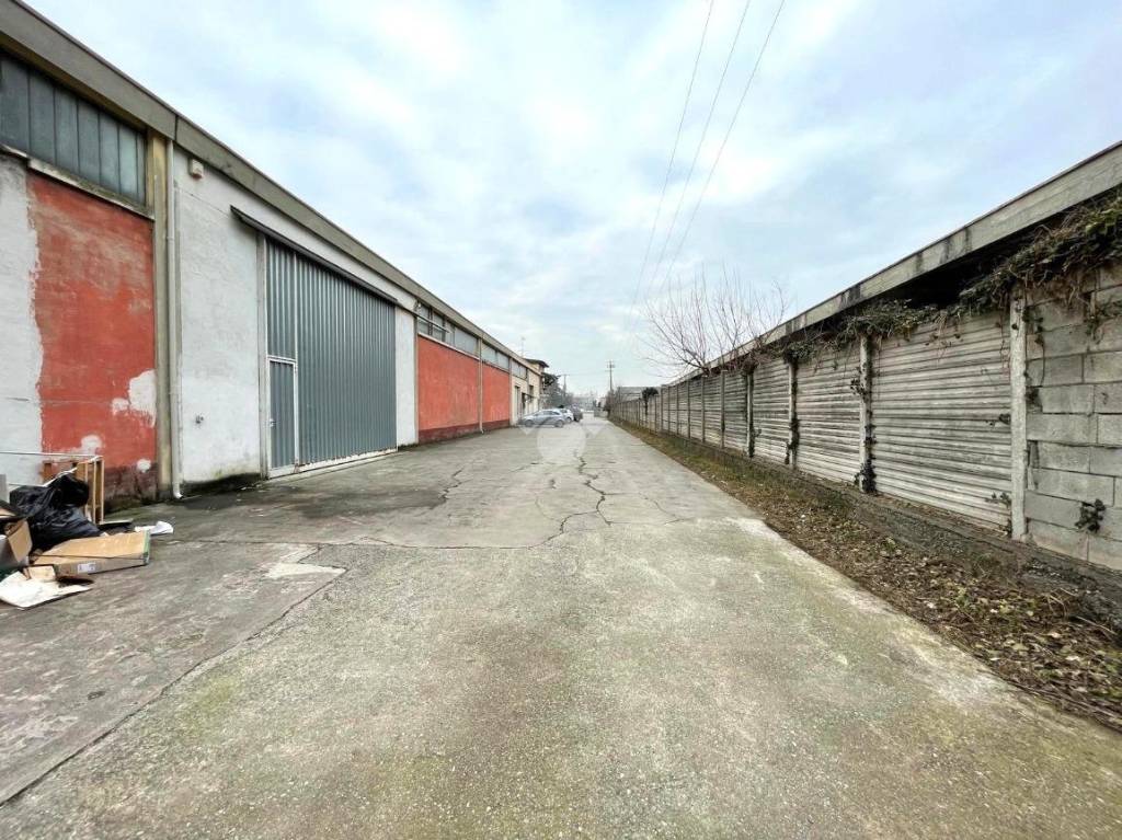 immagine annuncio 1 di 6