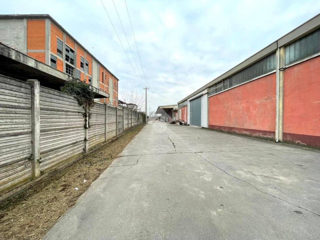 immagine annuncio 2 di 6