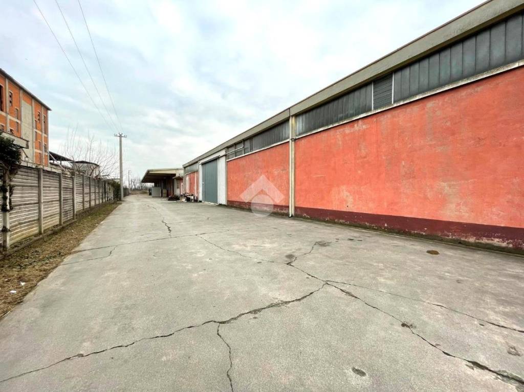 immagine annuncio 3 di 6