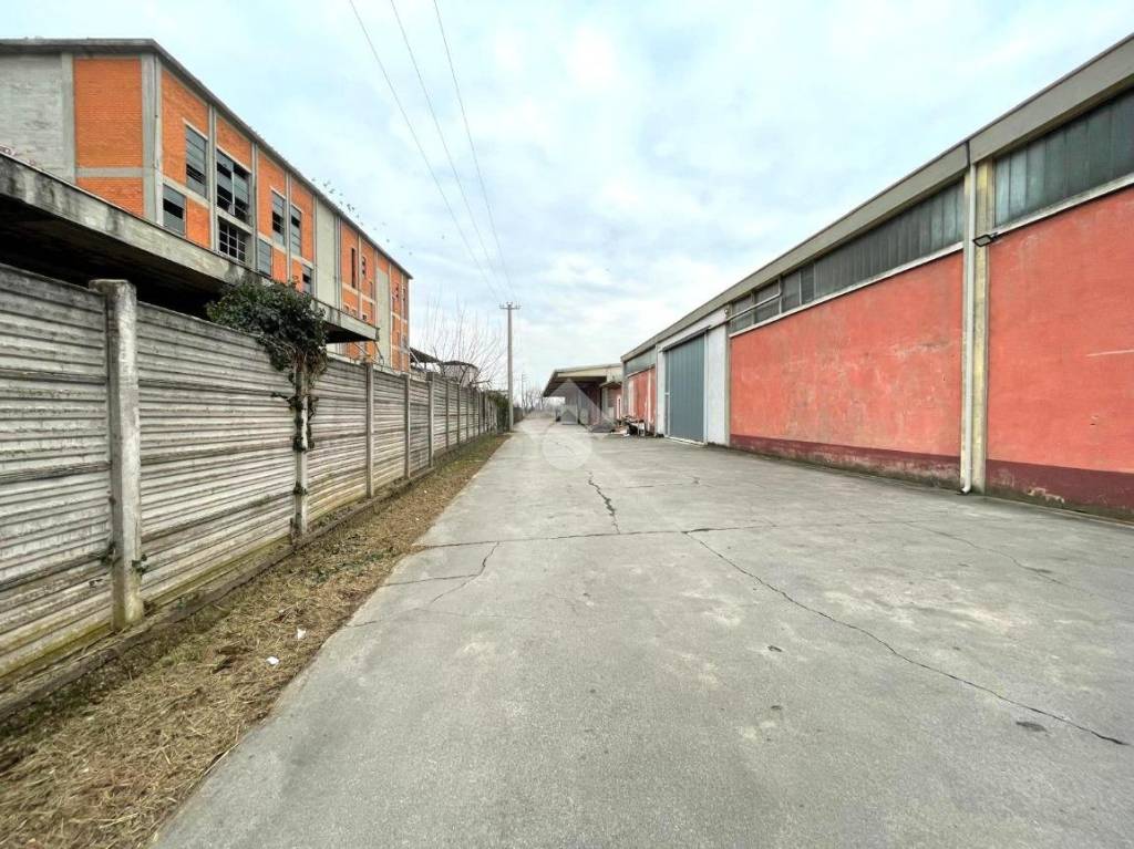 immagine annuncio 4 di 6