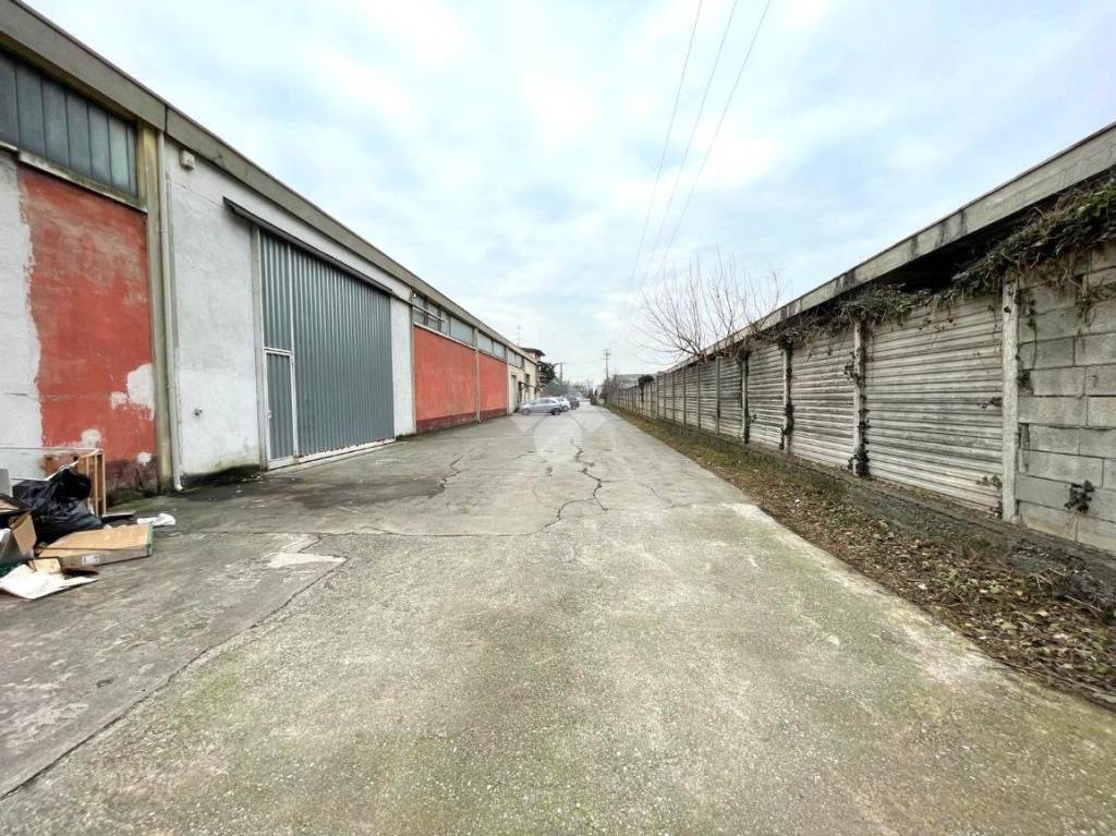 immagine annuncio 5 di 6