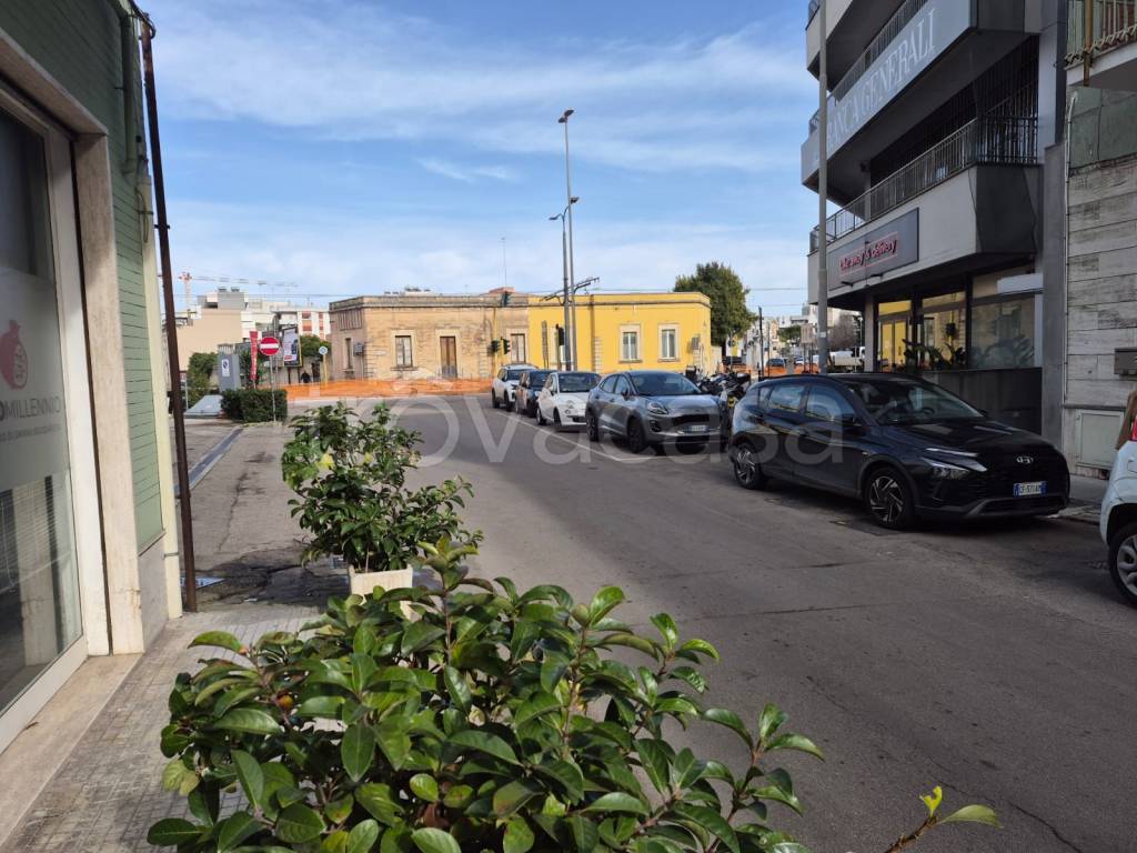 immagine annuncio 4 di 14