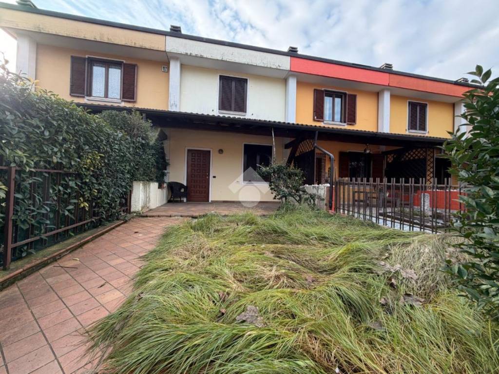 immagine annuncio 1 di 15