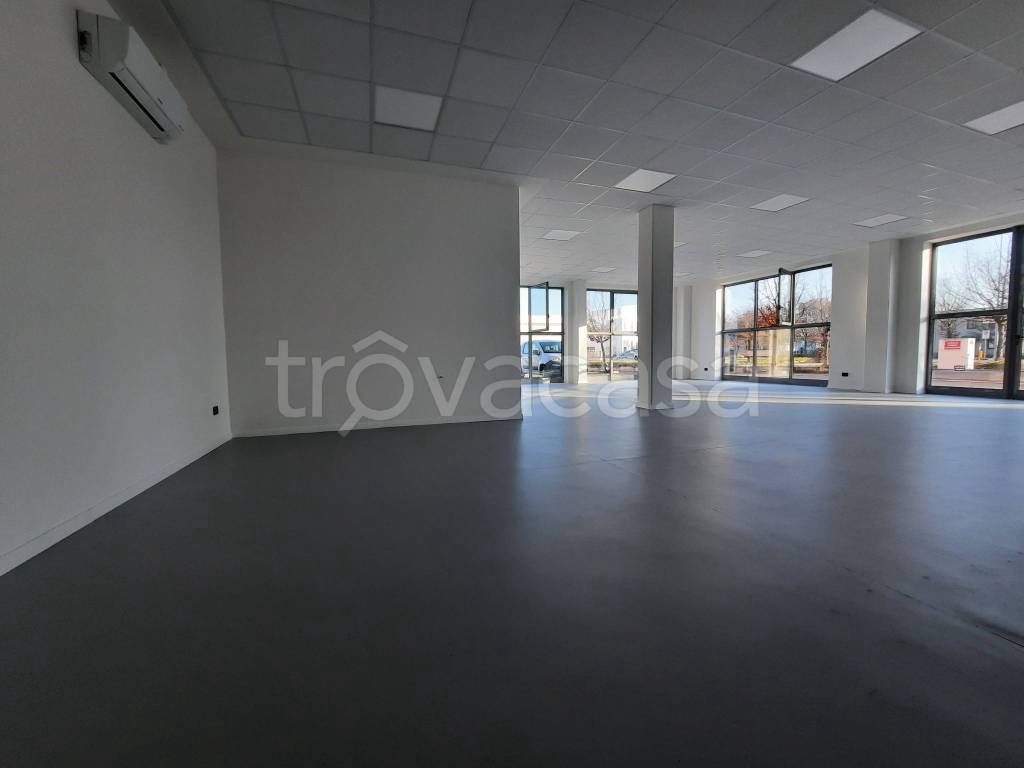 immagine annuncio 2 di 3