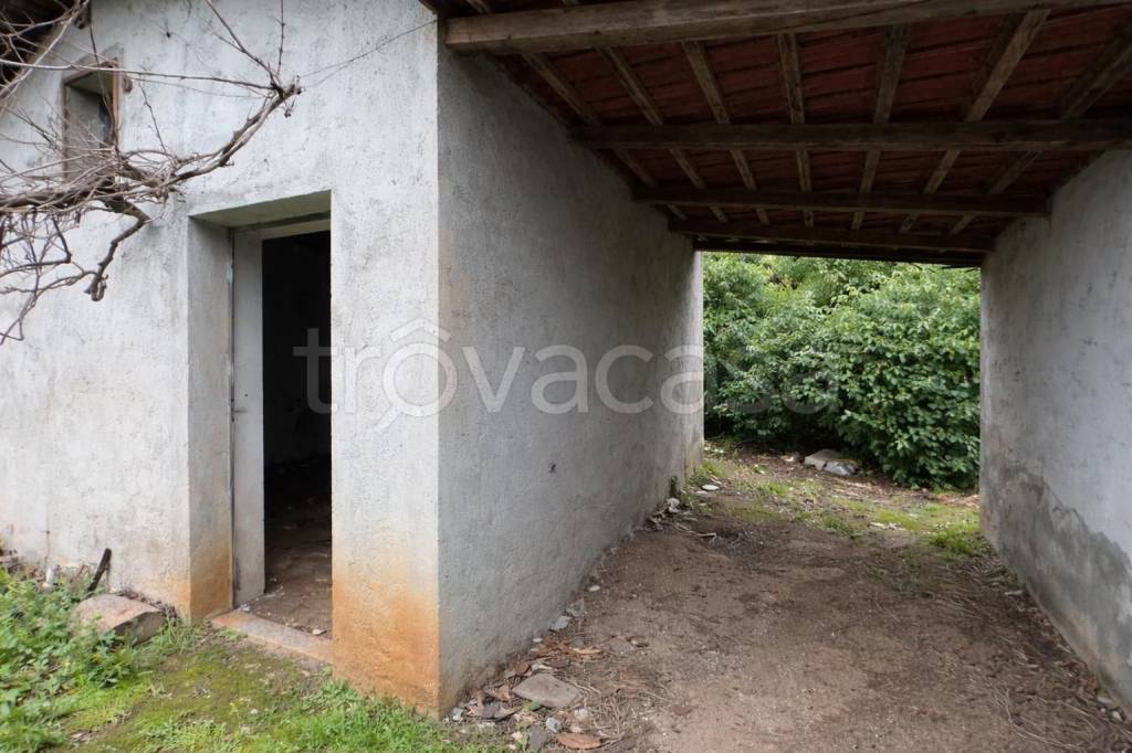 immagine annuncio 3 di 14