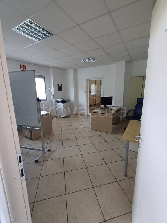 immagine annuncio 7 di 12