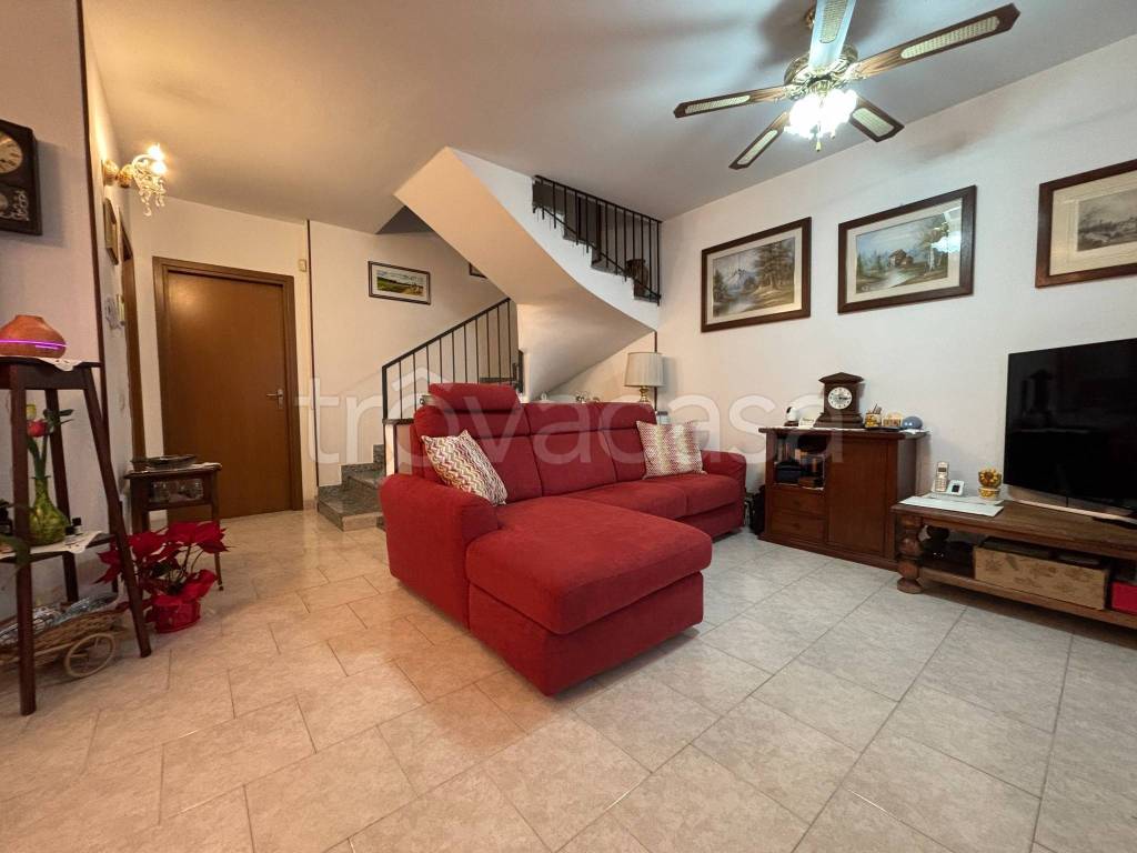 immagine annuncio 12 di 15