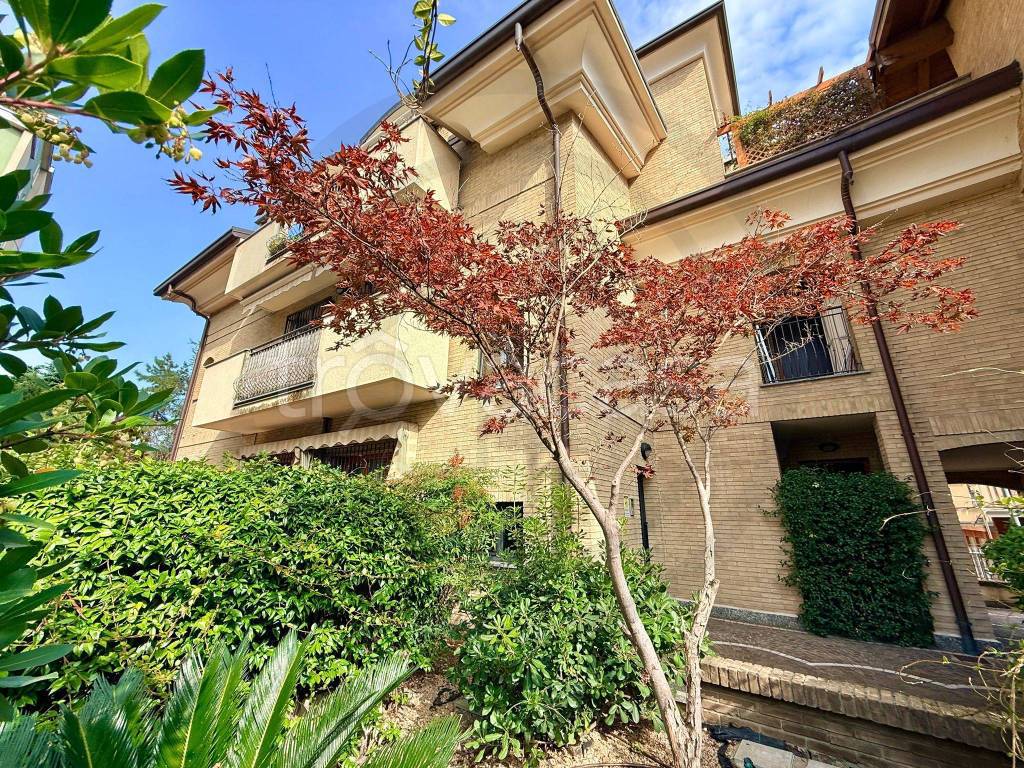 immagine annuncio 7 di 15