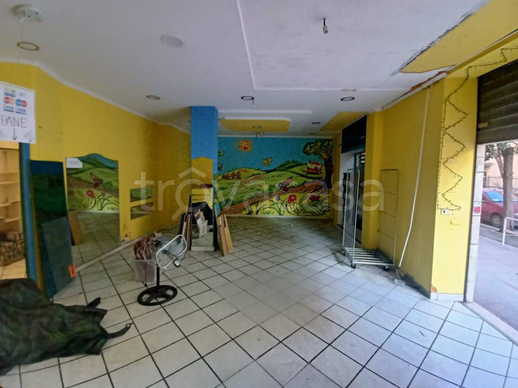 immagine annuncio 5 di 12