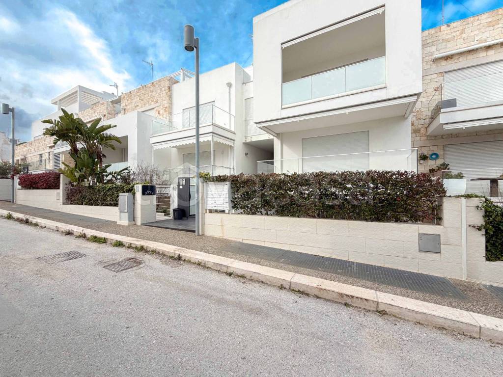 immagine annuncio 12 di 14