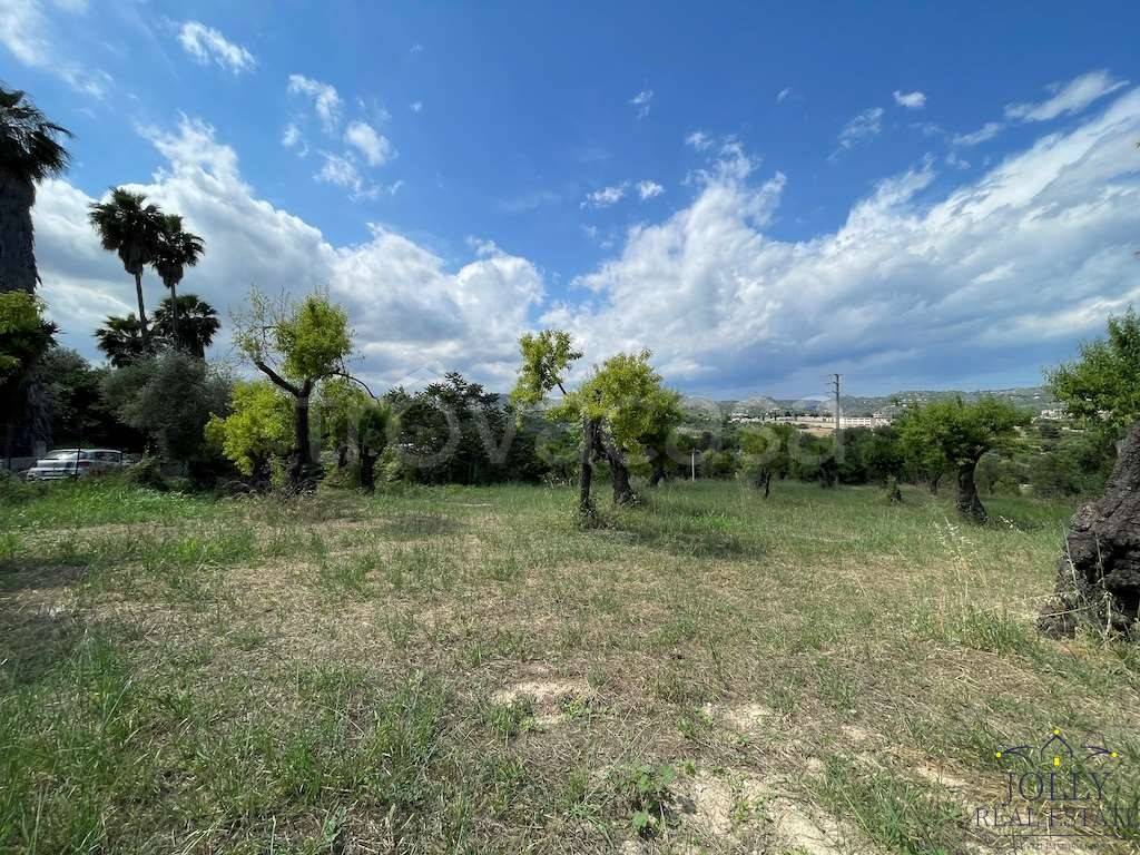 immagine annuncio 2 di 8