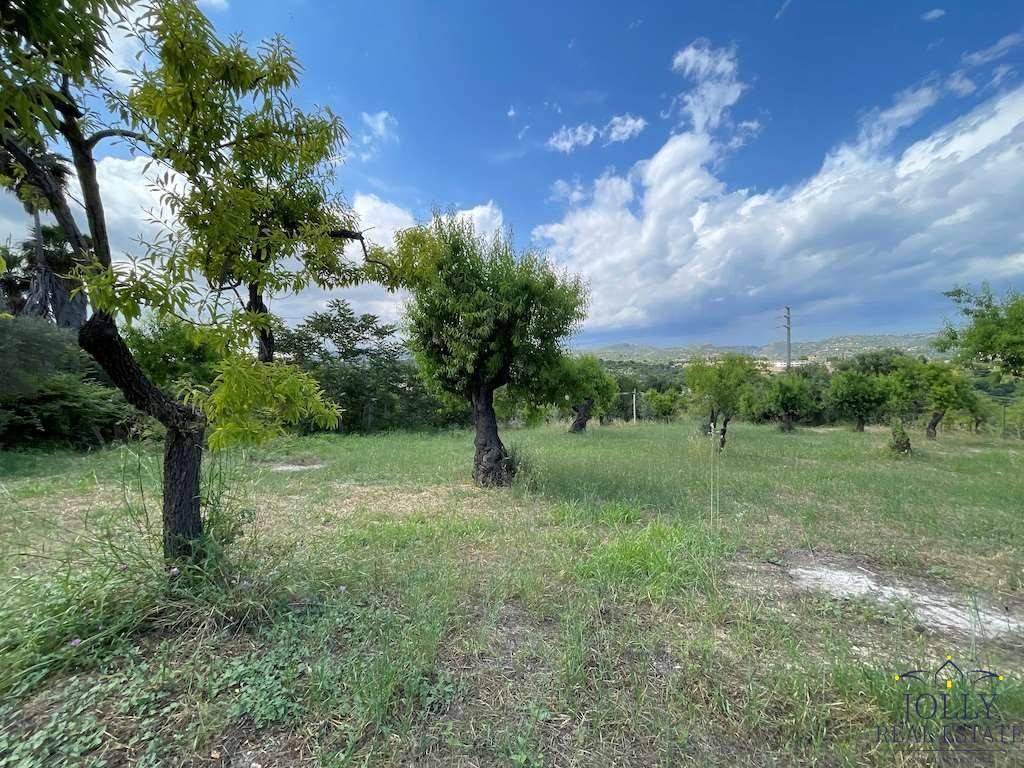 immagine annuncio 5 di 8