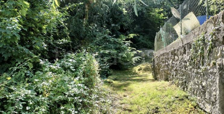 immagine annuncio 9 di 13