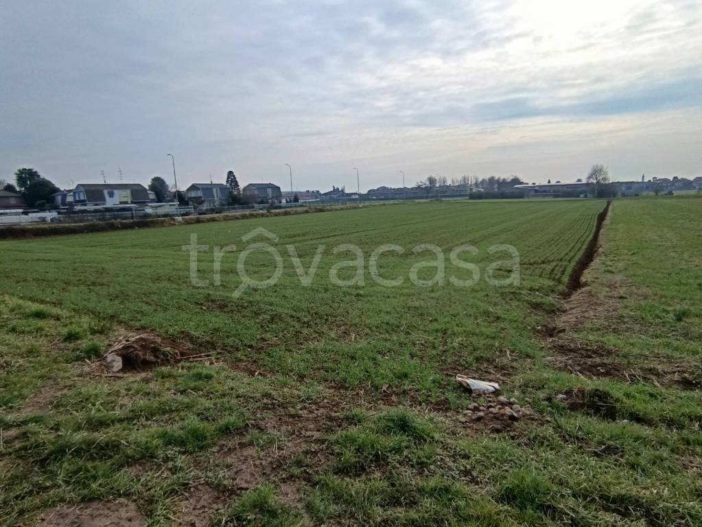 immagine annuncio 6 di 10