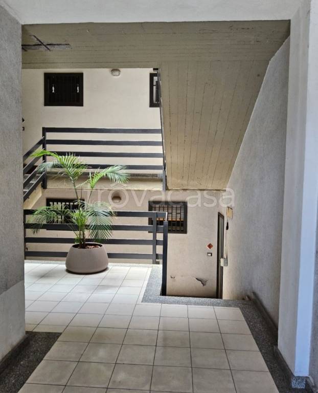 immagine annuncio 2 di 6