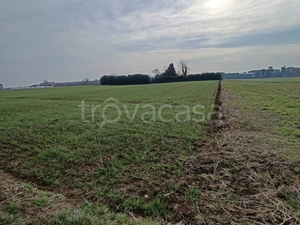 immagine annuncio 3 di 8