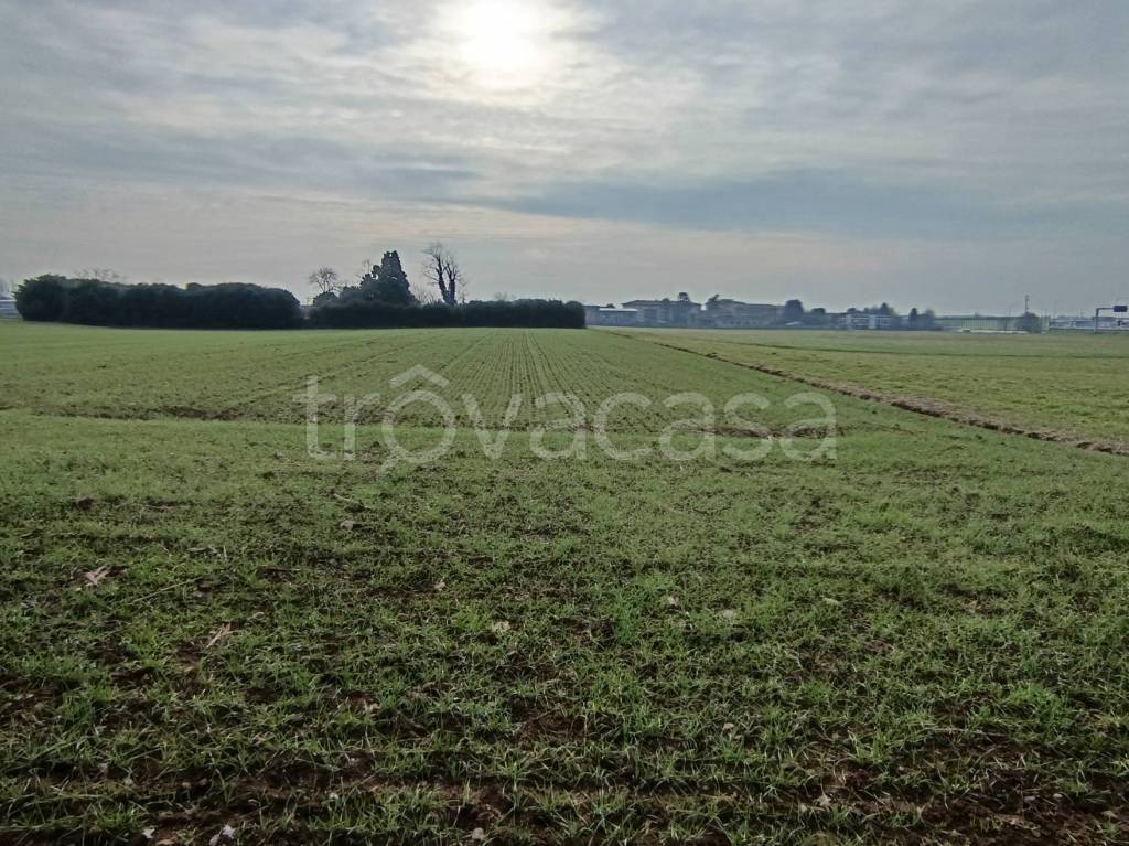 immagine annuncio 4 di 8