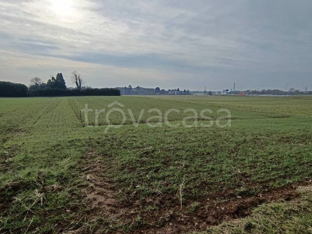 immagine annuncio 5 di 8