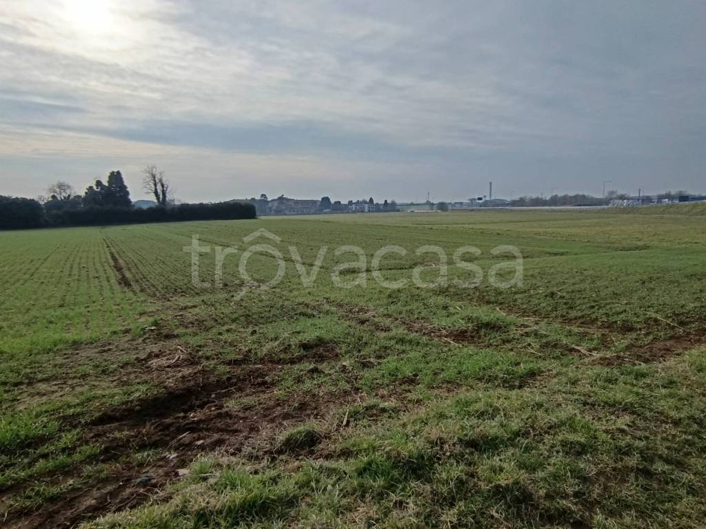 immagine annuncio 7 di 8