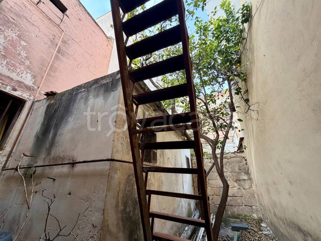 immagine annuncio 11 di 14