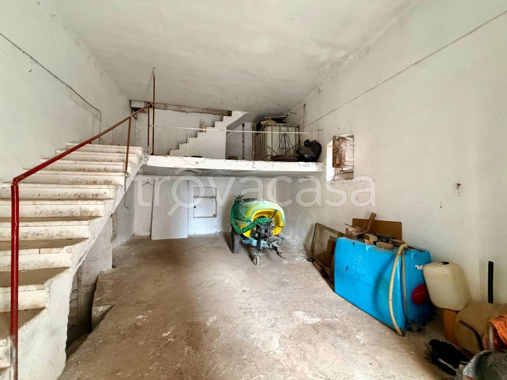 immagine annuncio 5 di 14