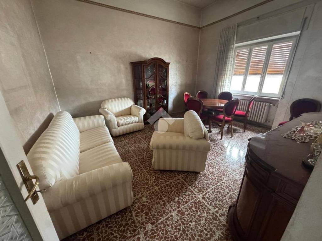 immagine annuncio 2 di 14