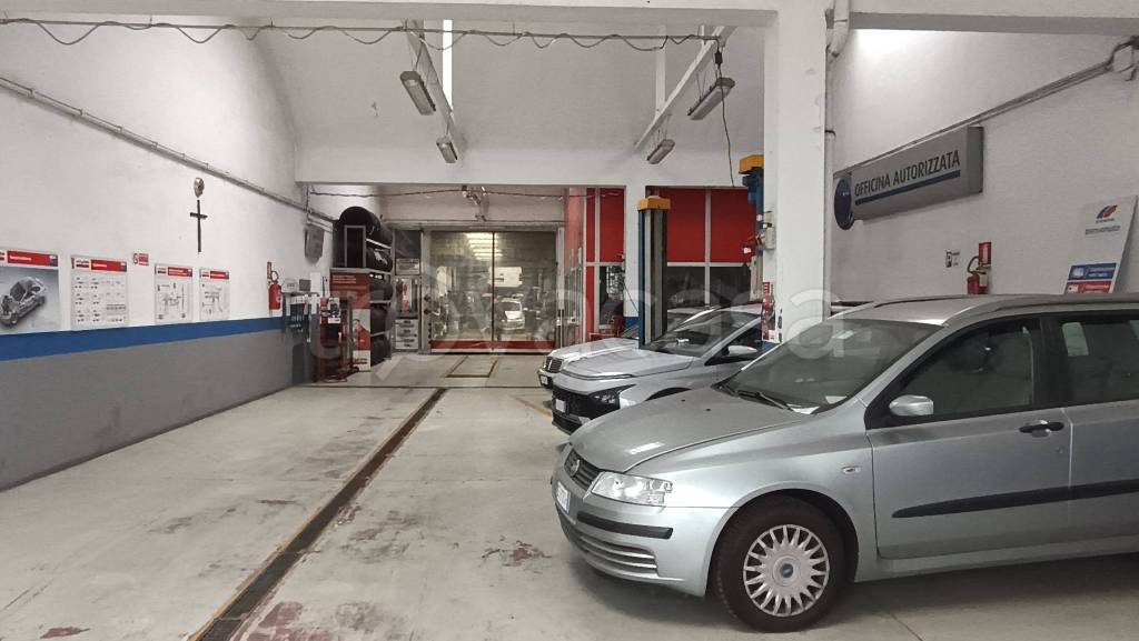 immagine annuncio 10 di 15