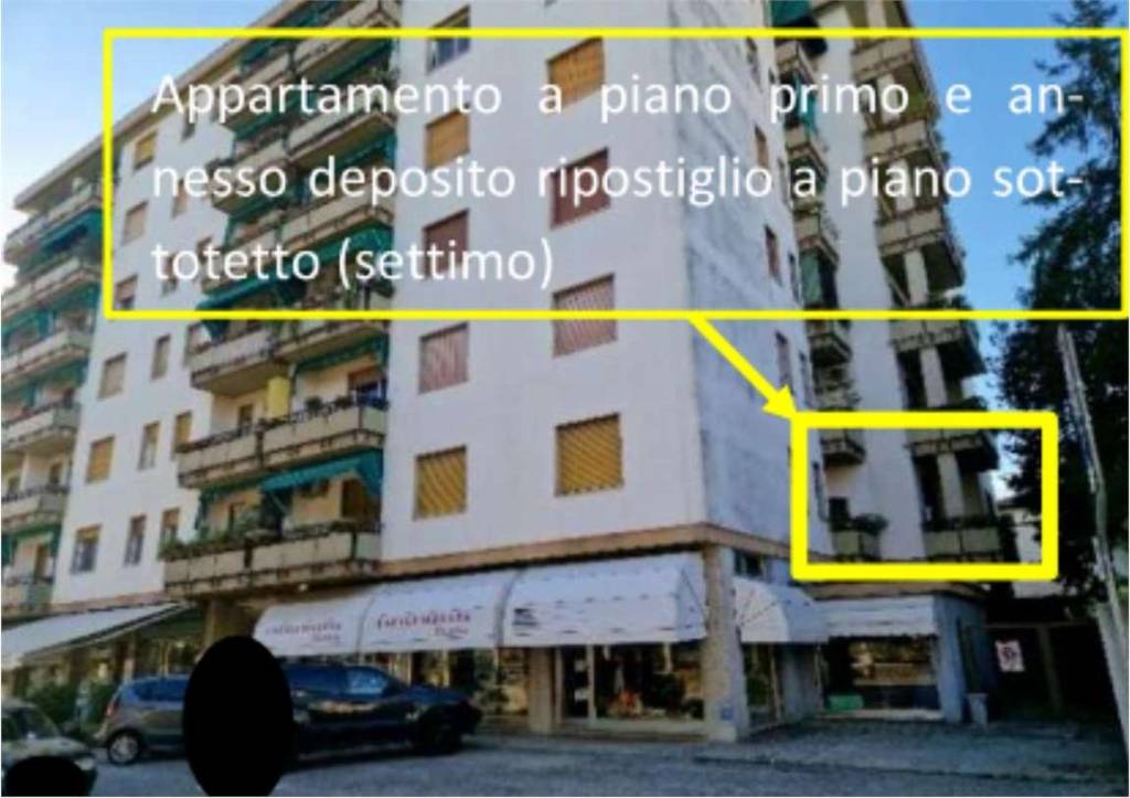 immagine annuncio 1 di 14