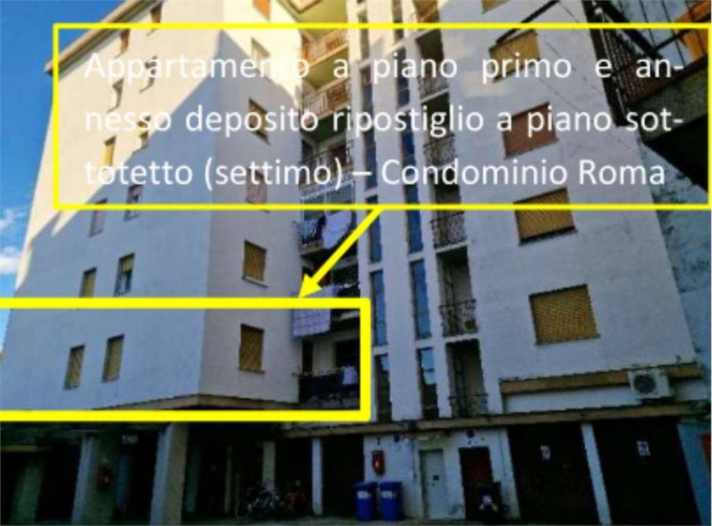 immagine annuncio 2 di 14