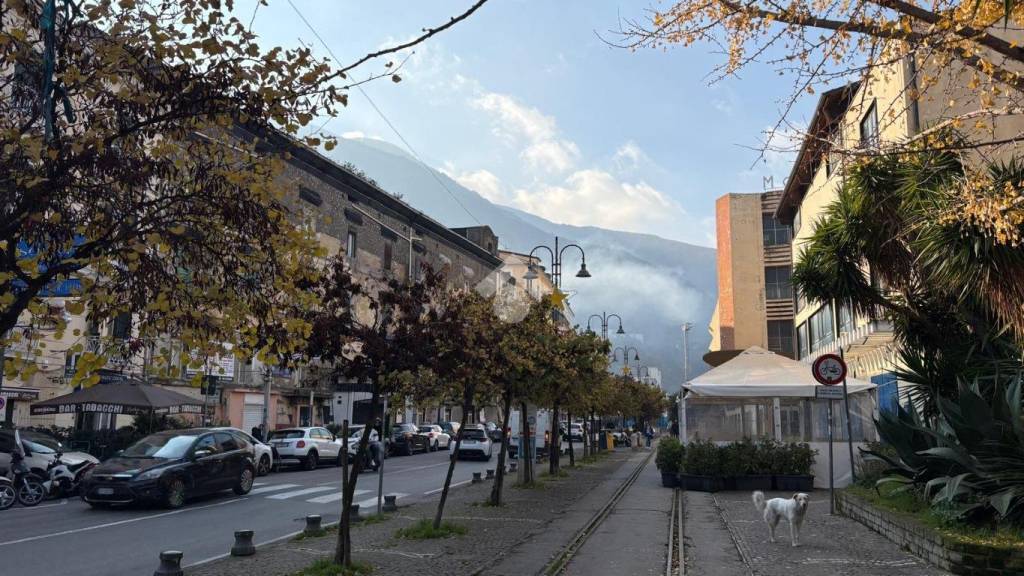 immagine annuncio 1 di 6