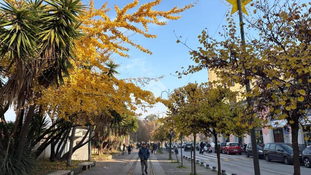 immagine annuncio 2 di 6