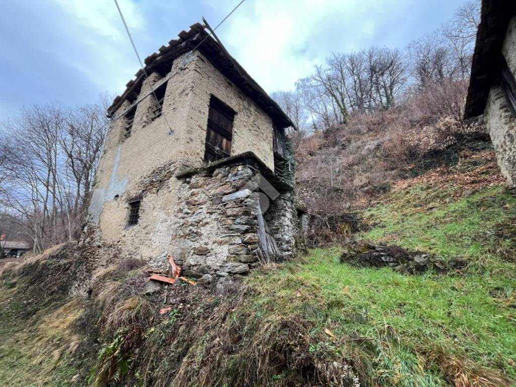 immagine annuncio 4 di 8