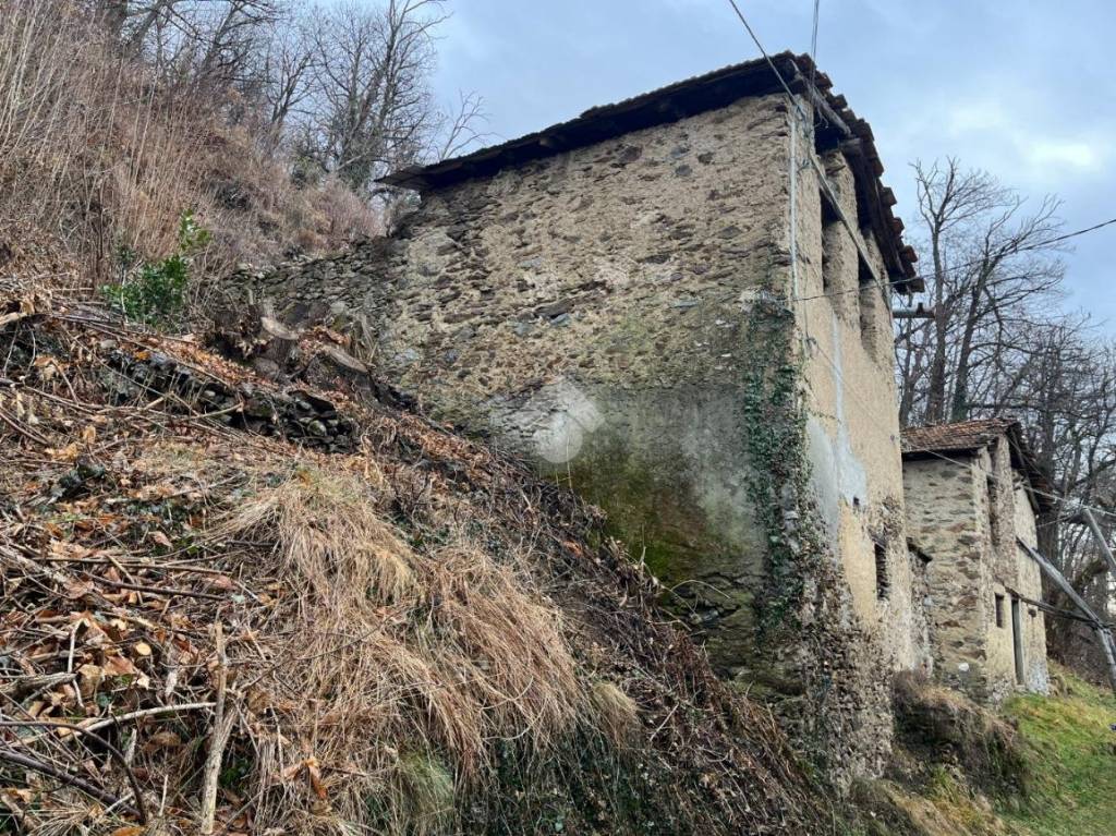 immagine annuncio 5 di 8