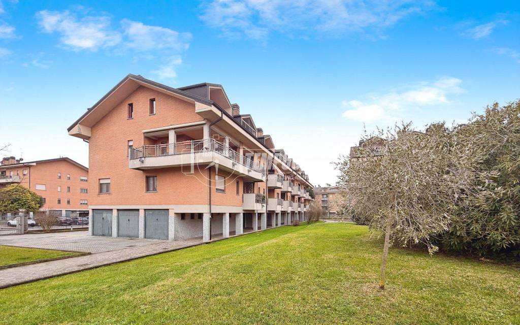 immagine annuncio 1 di 15