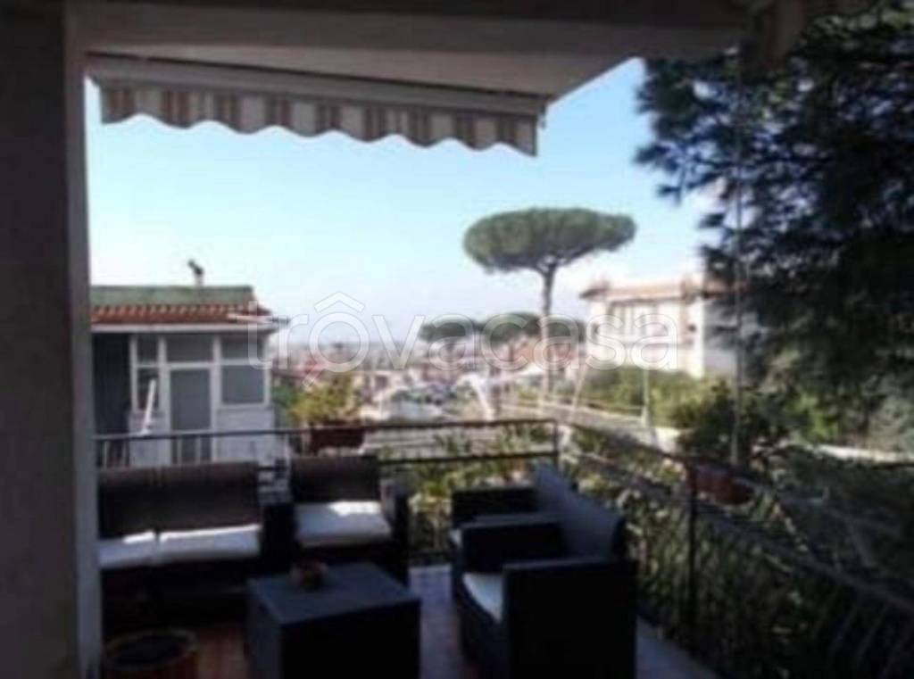 immagine annuncio 6 di 14