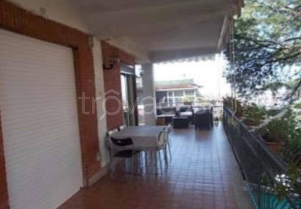 immagine annuncio 7 di 14