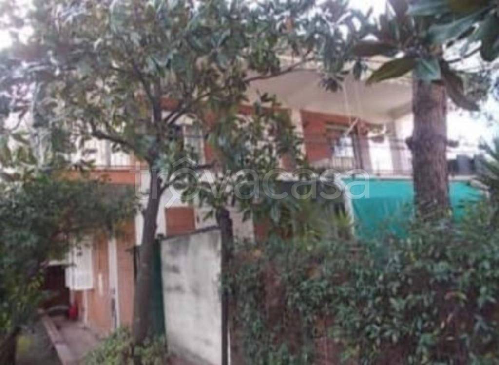 immagine annuncio 10 di 14