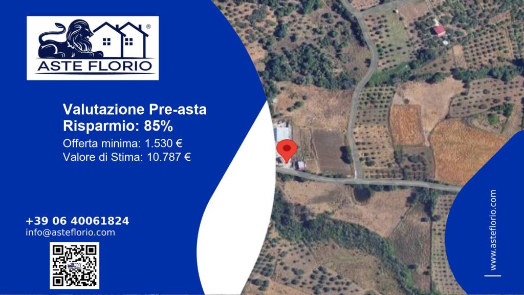 immagine annuncio 1 di 12