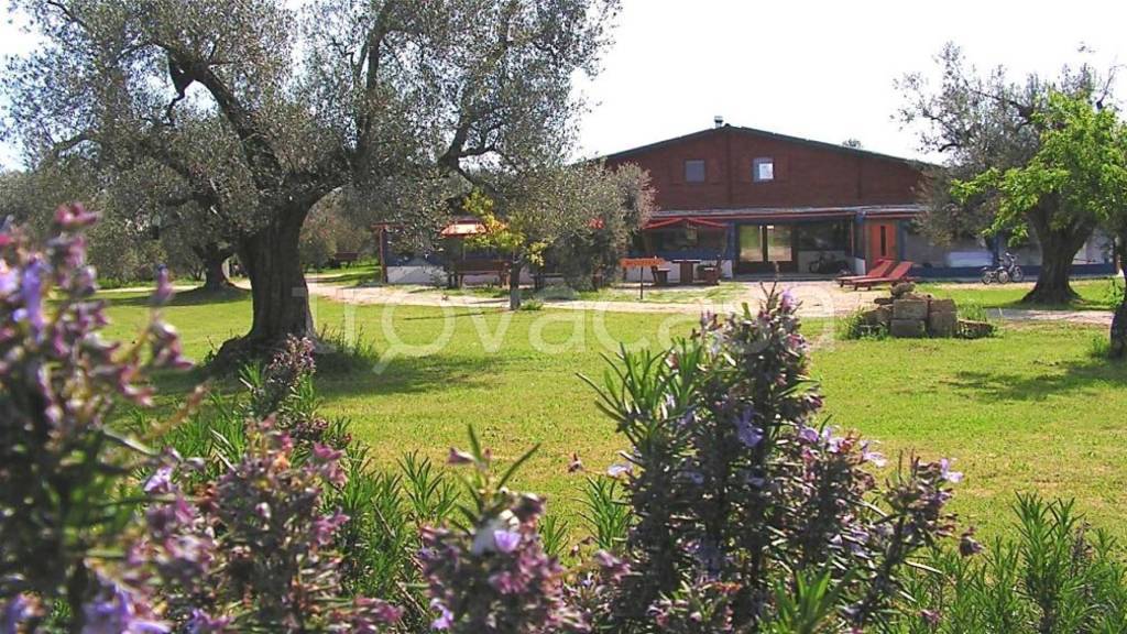 immagine annuncio 1 di 6