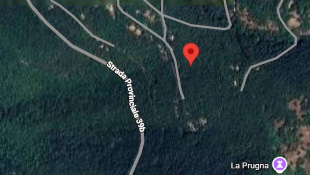 immagine annuncio 2 di 11