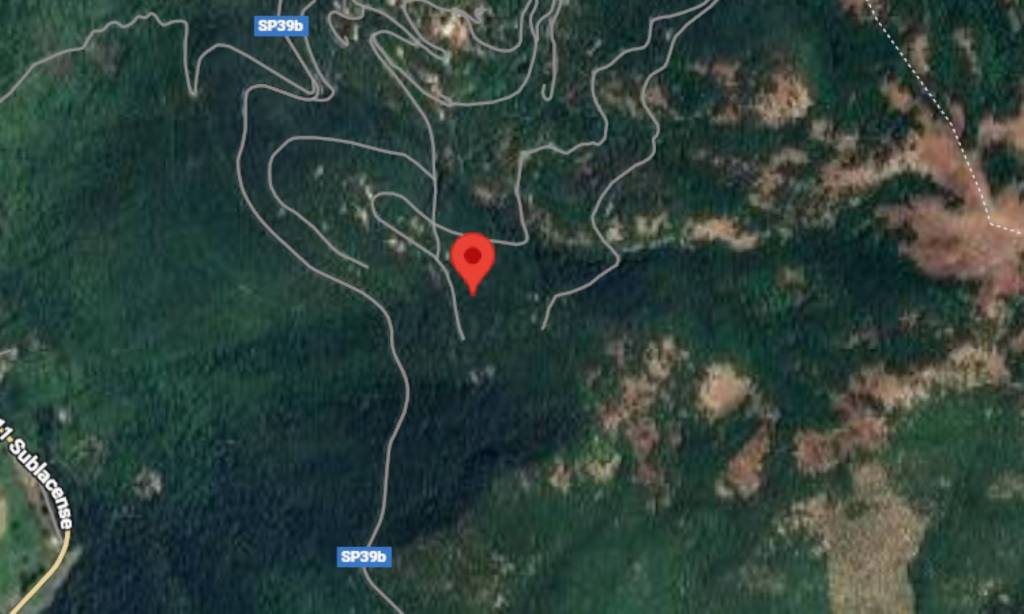 immagine annuncio 3 di 11