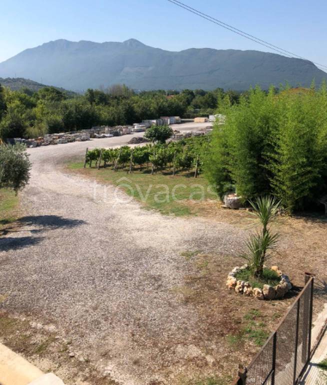 immagine annuncio 4 di 12