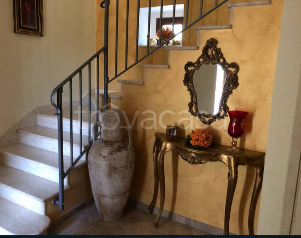 immagine annuncio 9 di 12