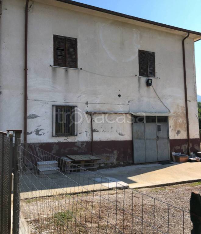 immagine annuncio 7 di 12