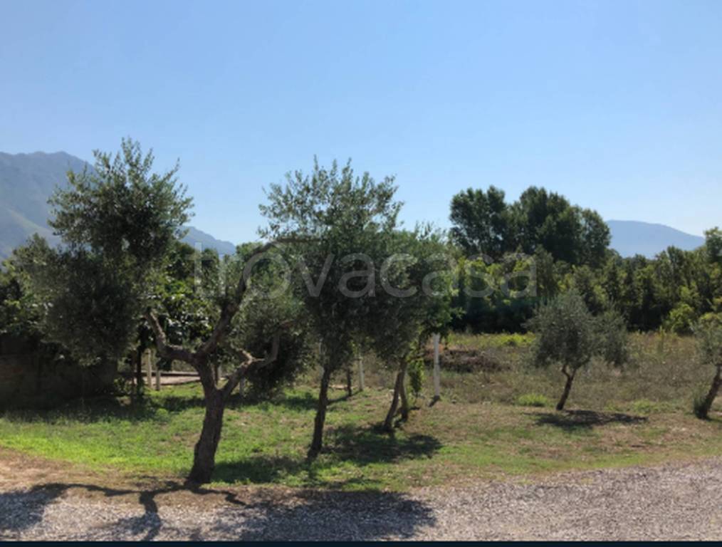 immagine annuncio 10 di 12