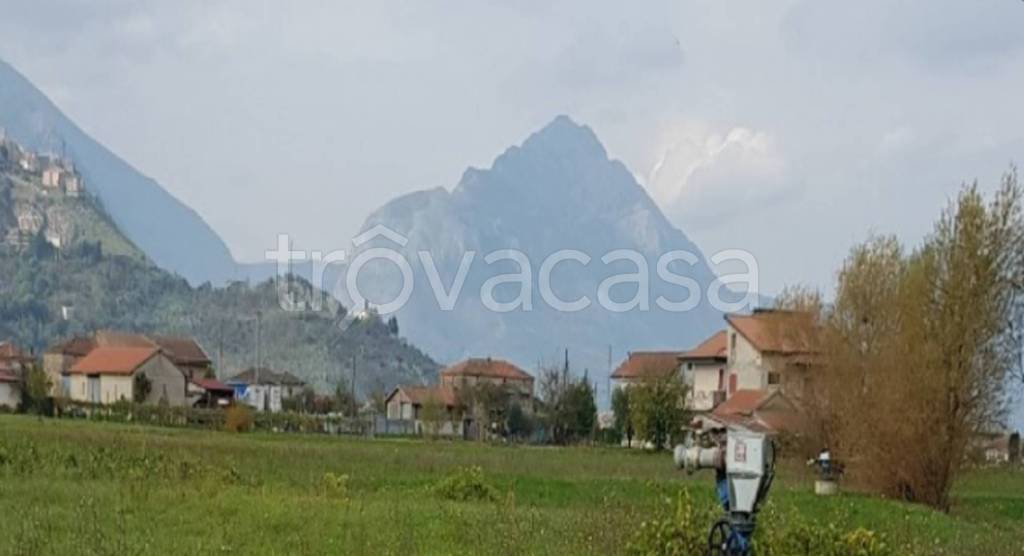 immagine annuncio 1 di 12